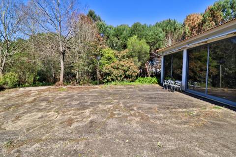 Quinta T4+1 Disponível para venda em Valongo do Vouga