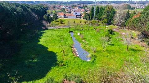 Quinta T4+1 Disponível para venda em Valongo do Vouga