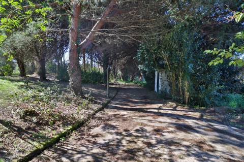 Quinta T4+1 Disponível para venda em Valongo do Vouga