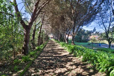 Quinta T4+1 Disponível para venda em Valongo do Vouga