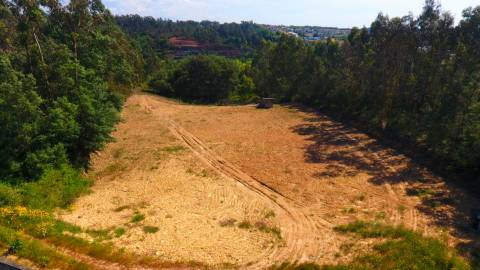 Terreno Disponível para venda em Águeda