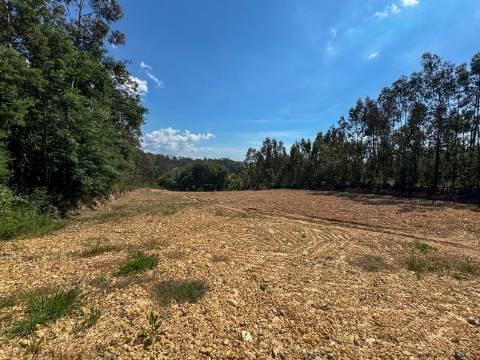 Terreno Disponível para venda em Águeda