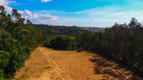 Terreno Disponível para venda em Águeda