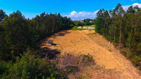 Terreno Disponível para venda em Águeda
