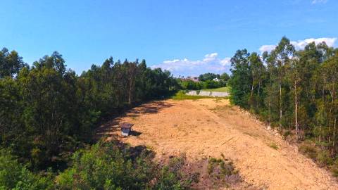 Terreno Disponível para venda em Águeda