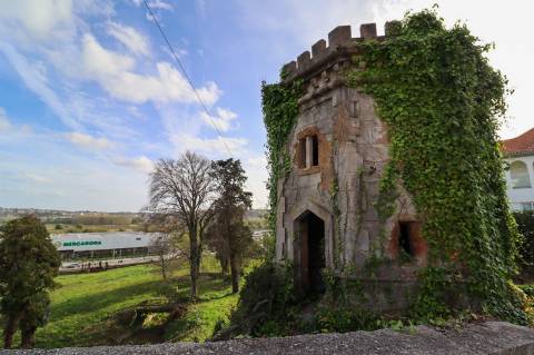 Terreno Premium para Desenvolvimento Urbano no Centro de Águeda