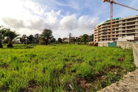 Terreno Premium para Desenvolvimento Urbano no Centro de Águeda