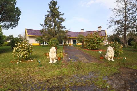 Quinta com 11.439 m², piscina coberta e 4 suítes - tranquilidade perto da cidade