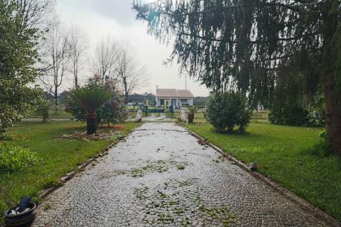 Quinta com 11.439 m², piscina coberta e 4 suítes - tranquilidade perto da cidade