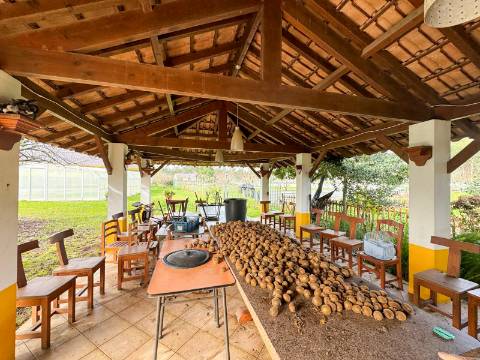 Quinta com 11.439 m², piscina coberta e 4 suítes - tranquilidade perto da cidade