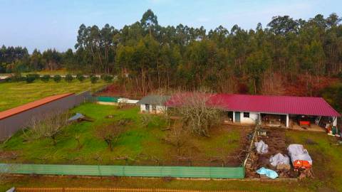 Quinta com 11.439 m², piscina coberta e 4 suítes - tranquilidade perto da cidade