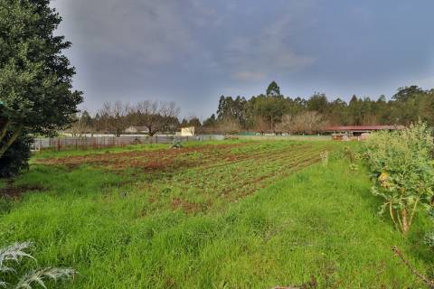Quinta com 11.439 m², piscina coberta e 4 suítes - tranquilidade perto da cidade