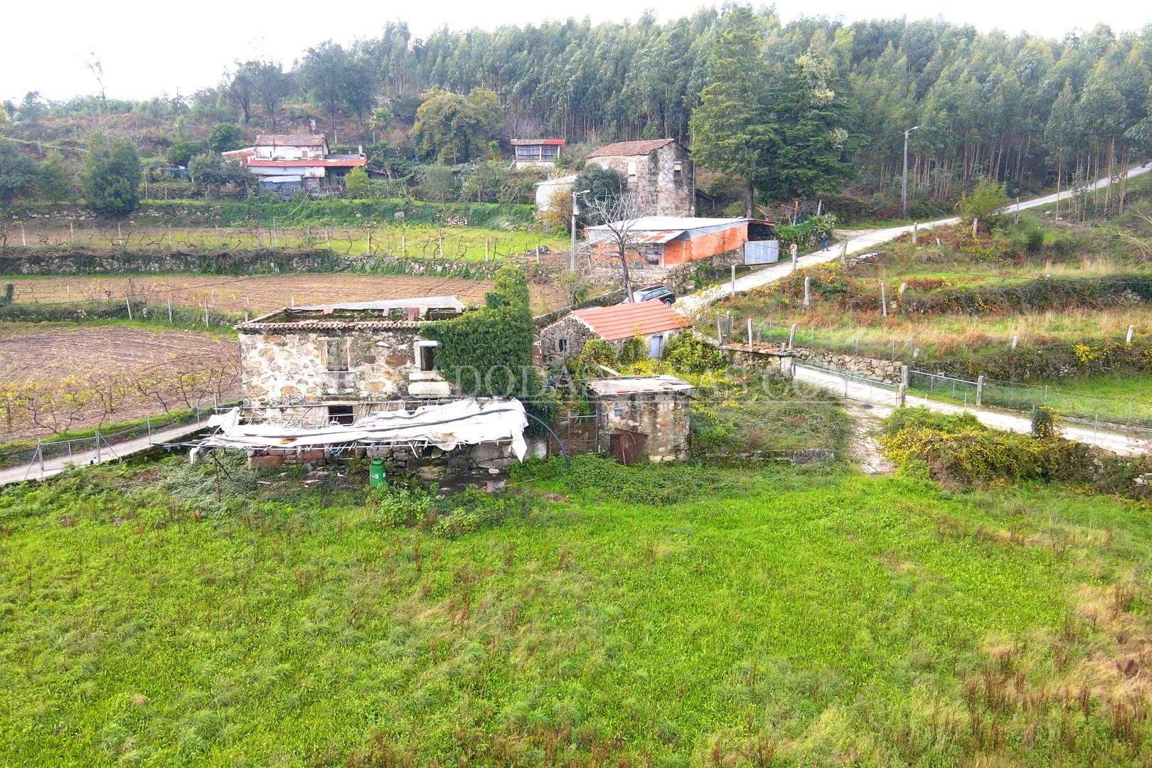 Quinta para Reabilitar / Investir Vale de Cambra