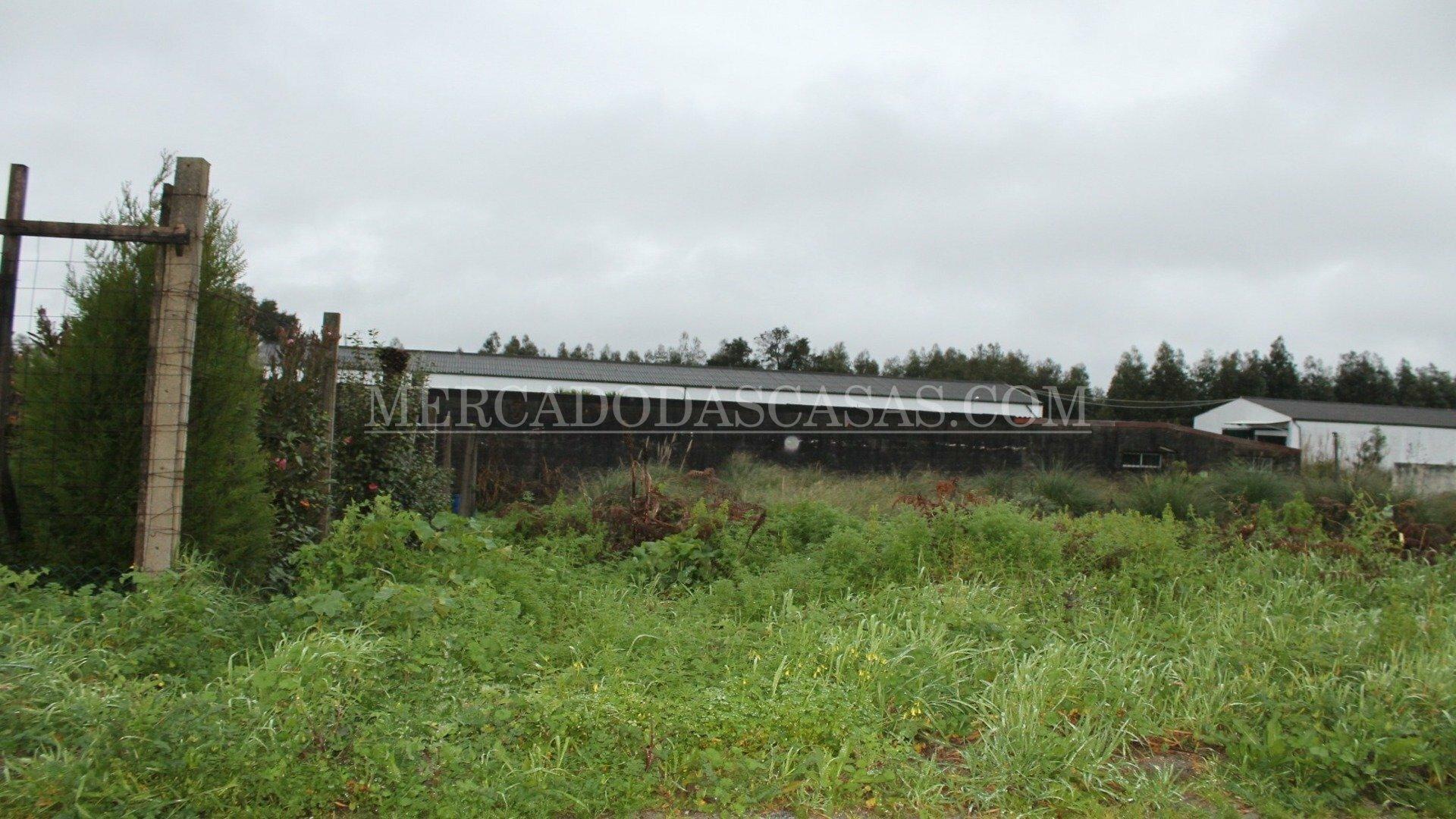 Terreno para construção de Moradias em Banda