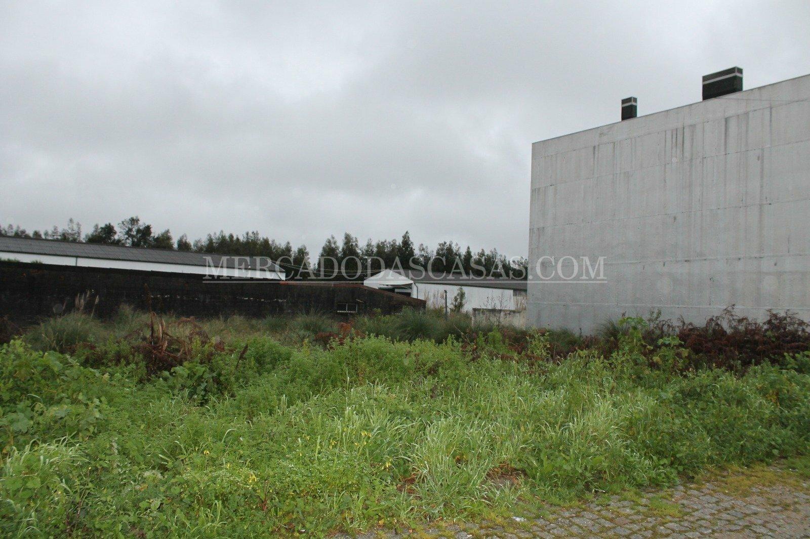 Terreno para construção de Moradias em Banda