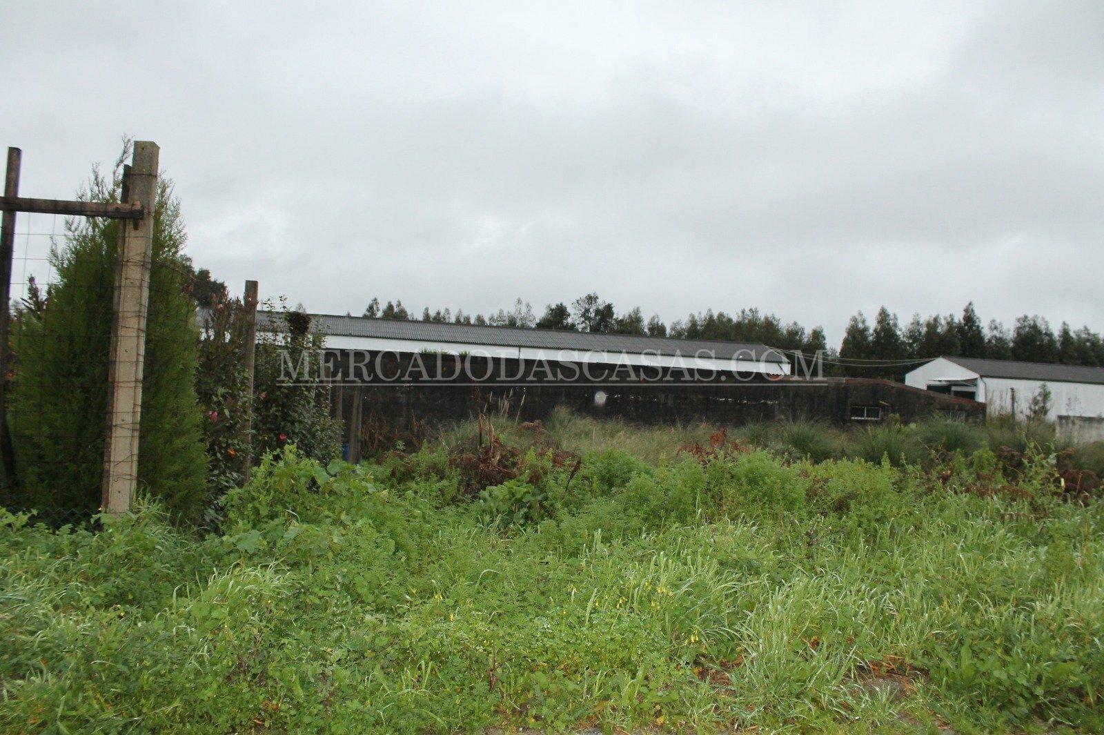 Terreno para construção de Moradias em Banda