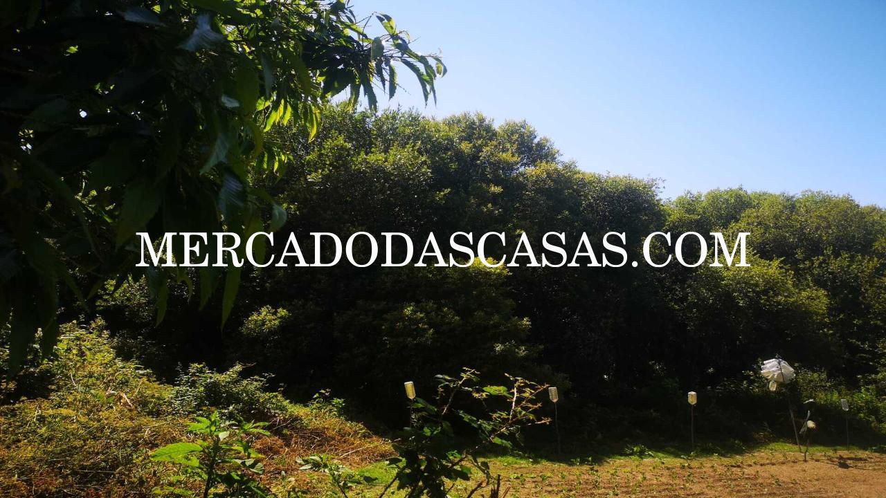 Ao comprar este Terreno está a investir num...