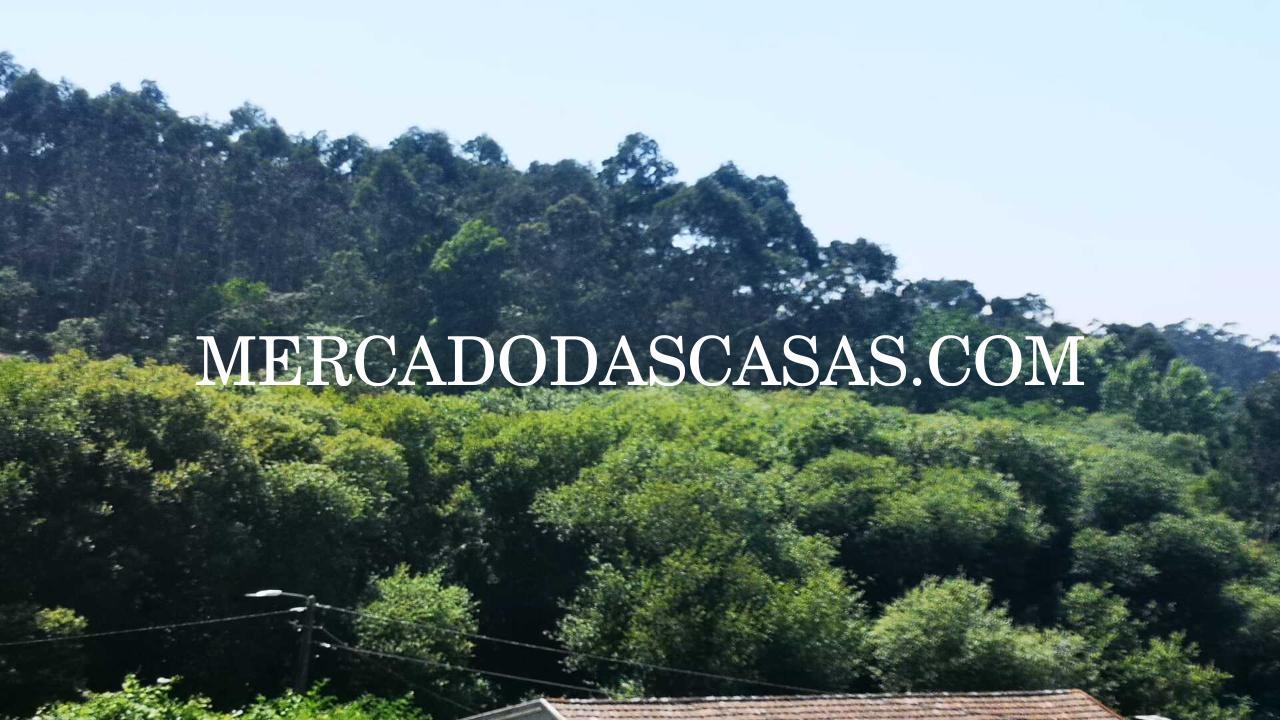 Ao comprar este Terreno está a investir num...