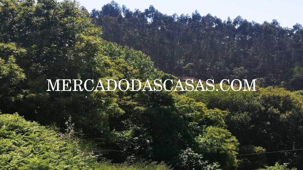 Ao comprar este Terreno está a investir num...