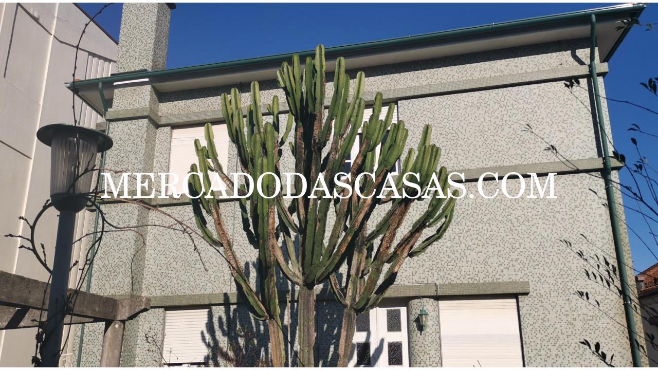 Moradia T6 com loja comercial localizada no...