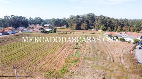 Terreno com artigo rústico e urbano 
 Ao...