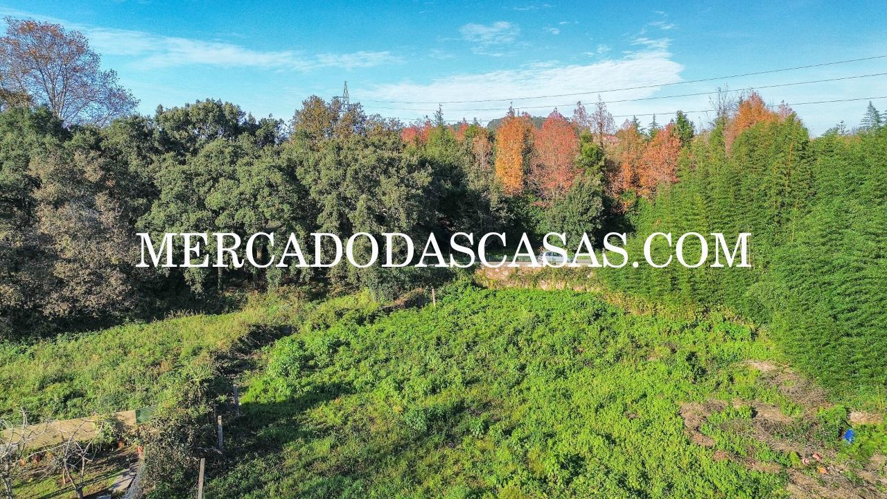 Moradia Isolada bifamiliar T3 no primeiro andar e...