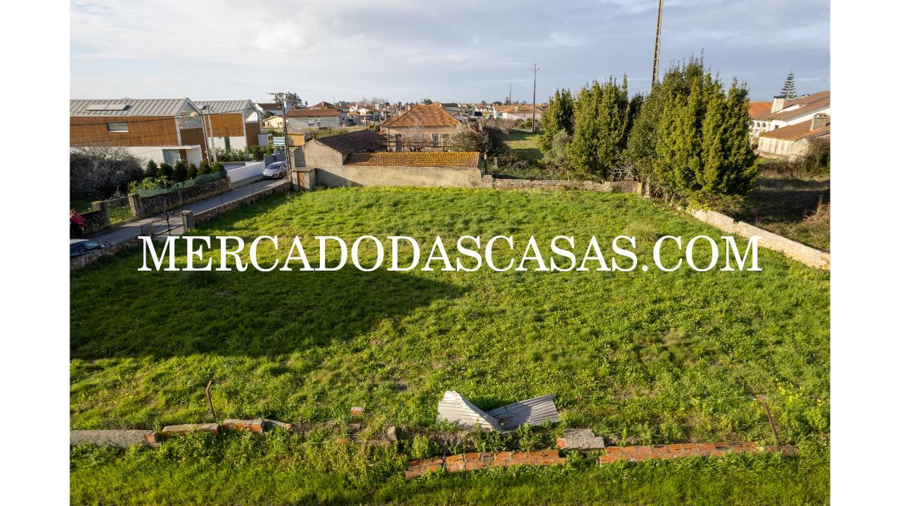 Terreno rústico murado localizado na Murtosa,...