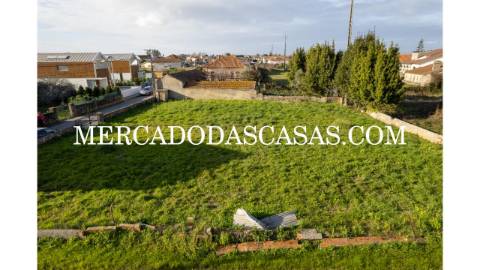 Terreno rústico murado localizado na Murtosa,...