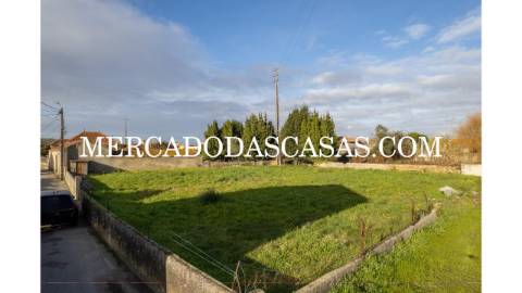 Terreno rústico murado localizado na Murtosa,...