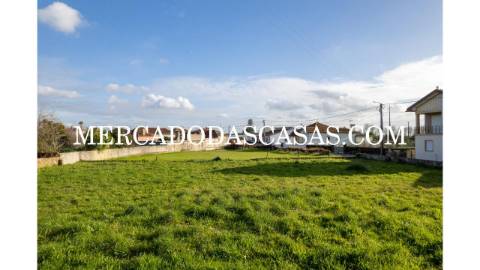 Terreno rústico murado localizado na Murtosa,...