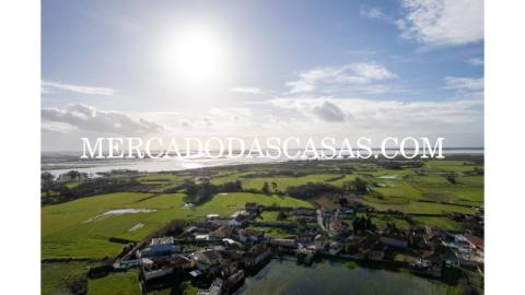 Terreno rústico murado localizado na Murtosa,...