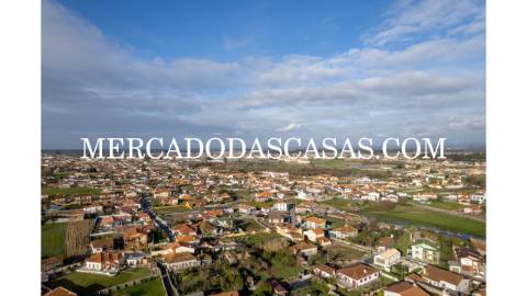 Terreno rústico murado localizado na Murtosa,...