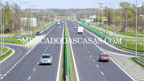 Entre o azul infinito do Atlântico e a energia...