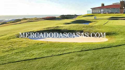 Entre o azul infinito do Atl&acirc;ntico e a...