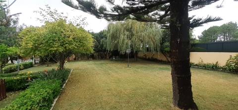 Quinta com moradia T3 e com piscina na Terrugem