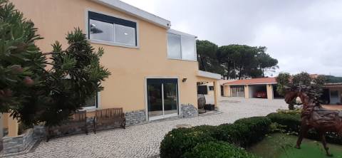 Quinta com moradia T3 e com piscina na Terrugem