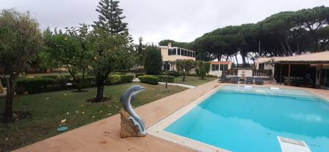 Quinta com moradia T3 e com piscina na Terrugem