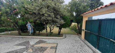 Quinta com moradia T3 e com piscina na Terrugem