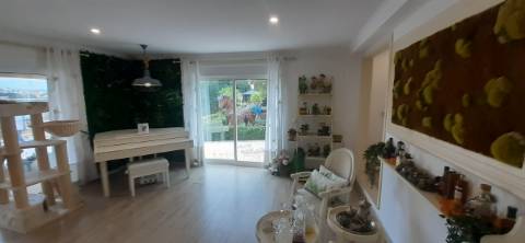 Quinta com moradia T3 e com piscina na Terrugem