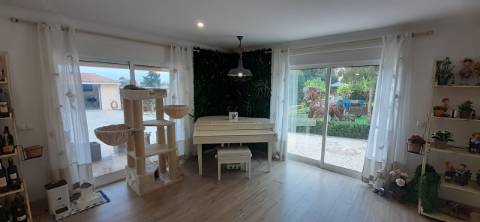 Quinta com moradia T3 e com piscina na Terrugem