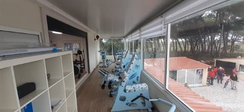 Quinta com moradia T3 e com piscina na Terrugem