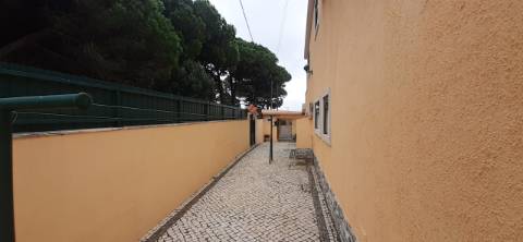 Quinta com moradia T3 e com piscina na Terrugem