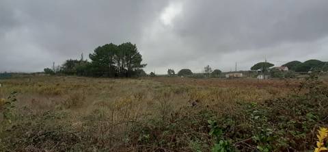 Quinta com moradia T3 e com piscina na Terrugem