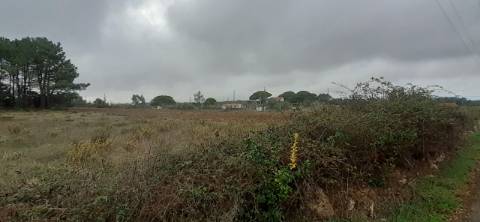 Quinta com moradia T3 e com piscina na Terrugem