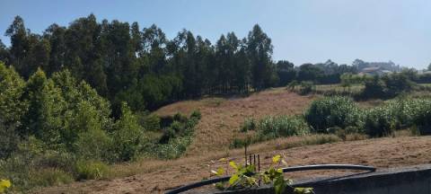 Terreno com viabilidade de construção local muito calmo