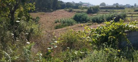 Terreno com viabilidade de construção local muito calmo