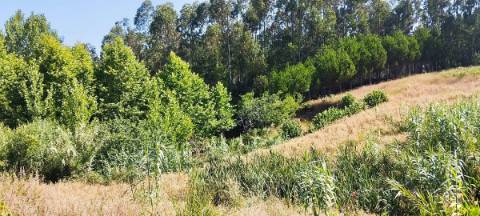 Terreno com viabilidade de construção local muito calmo