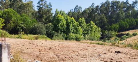 Terreno com viabilidade de construção local muito calmo
