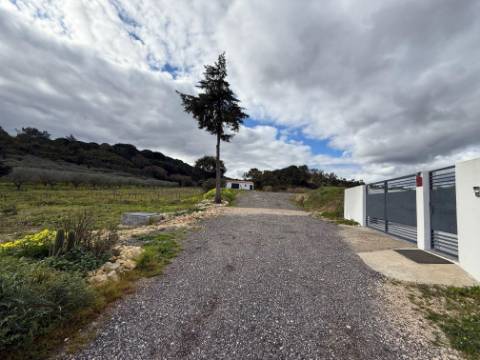 Quintinha com moradia, piscina, anexos e terreno - Alcoentre