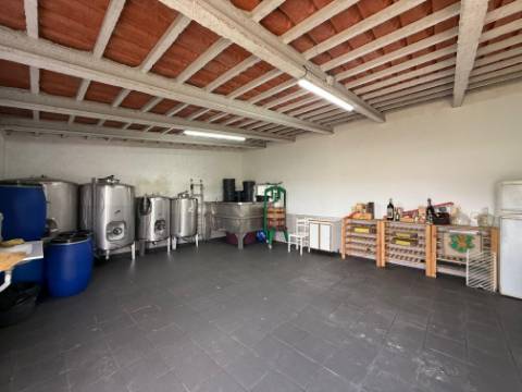 Quintinha com moradia, piscina, anexos e terreno - Alcoentre